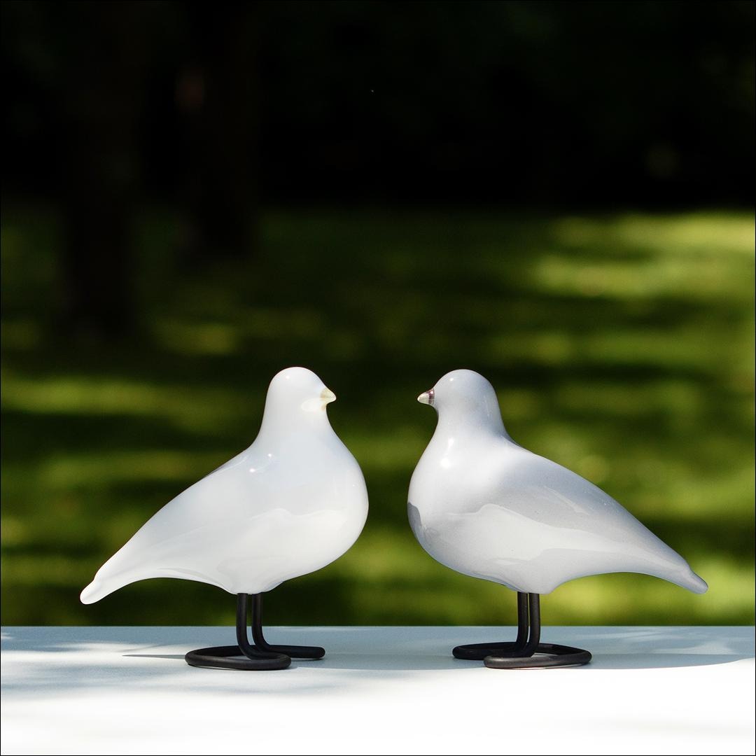 Companion Birds – White and Grey Pair - Lunora