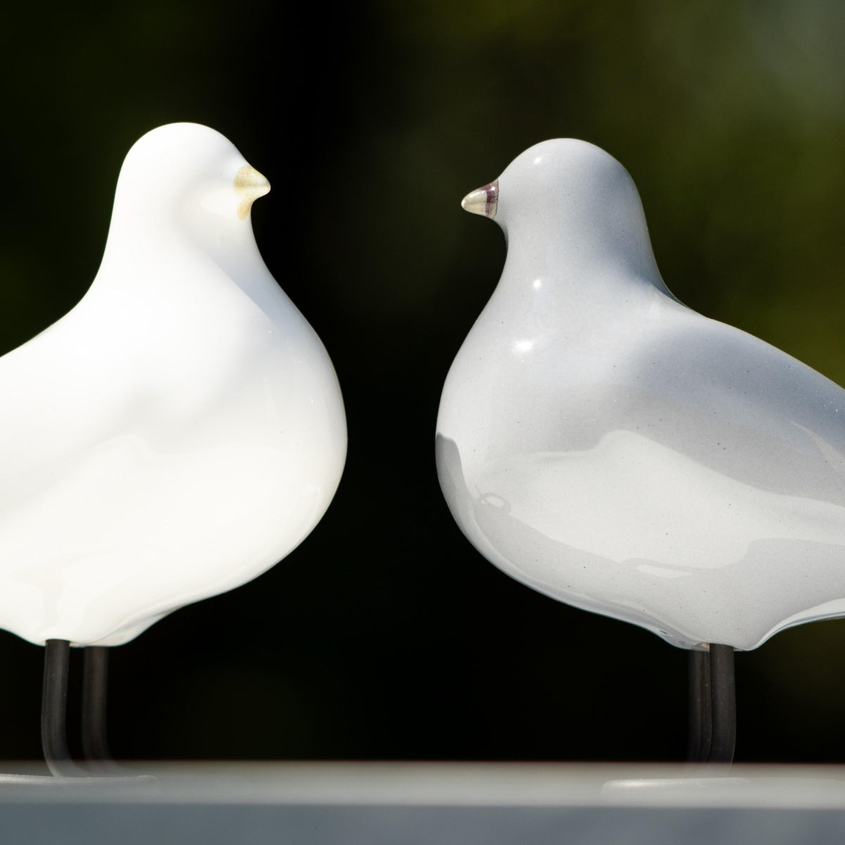 Companion Birds – White and Grey Pair - Lunora